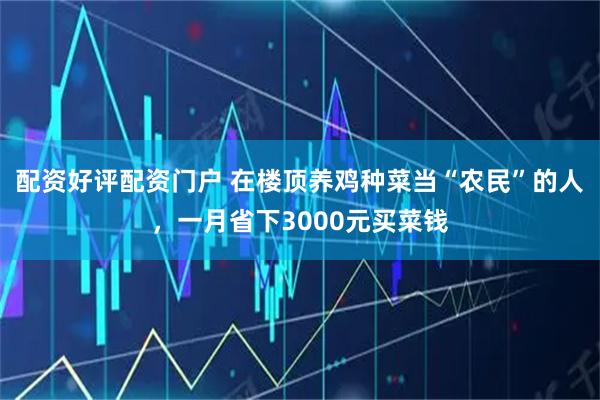 配资好评配资门户 在楼顶养鸡种菜当“农民”的人，一月省下3000元买菜钱
