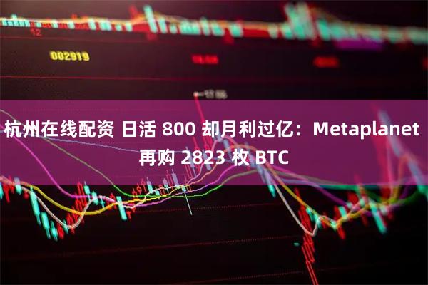 杭州在线配资 日活 800 却月利过亿：Metaplanet 再购 2823 枚 BTC