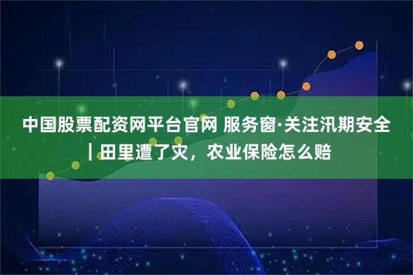 中国股票配资网平台官网 服务窗·关注汛期安全｜田里遭了灾，农业保险怎么赔
